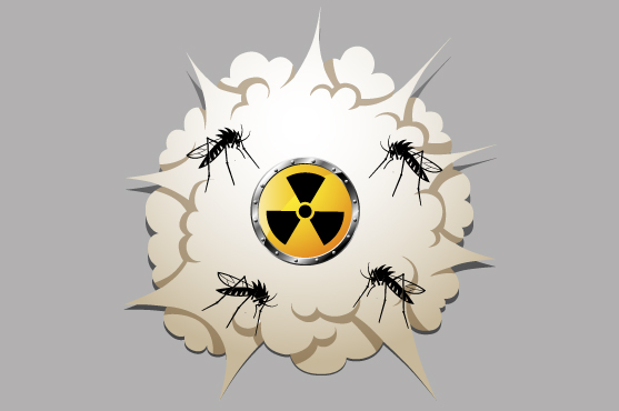 Fumac deve ser usado com critrio no combate ao aedes aegypti, diz especialista