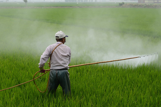 Liberao de agrotxicos gera incertezas em relao ao futuro da agroeconomia